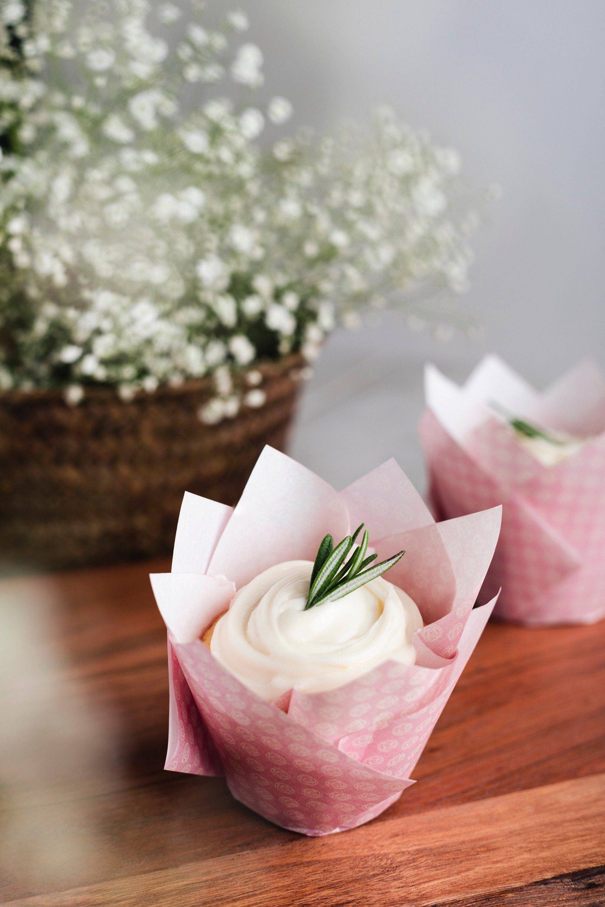 Tulip Cupcake Liners - Bloom – Grae Studio Design